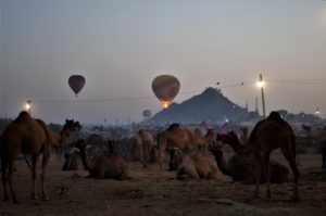 Hot Air Balloon