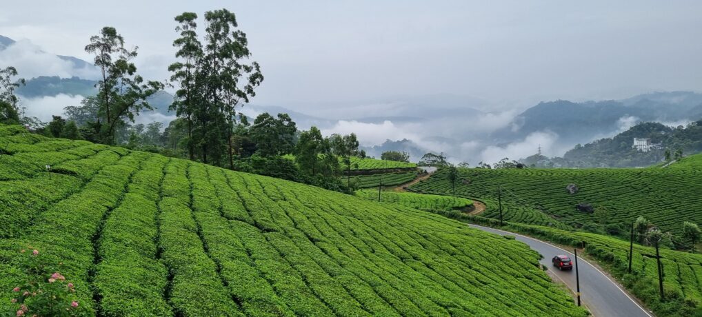 Munnar Sightseeing: Indulge Your Senses in Scenic Splendor