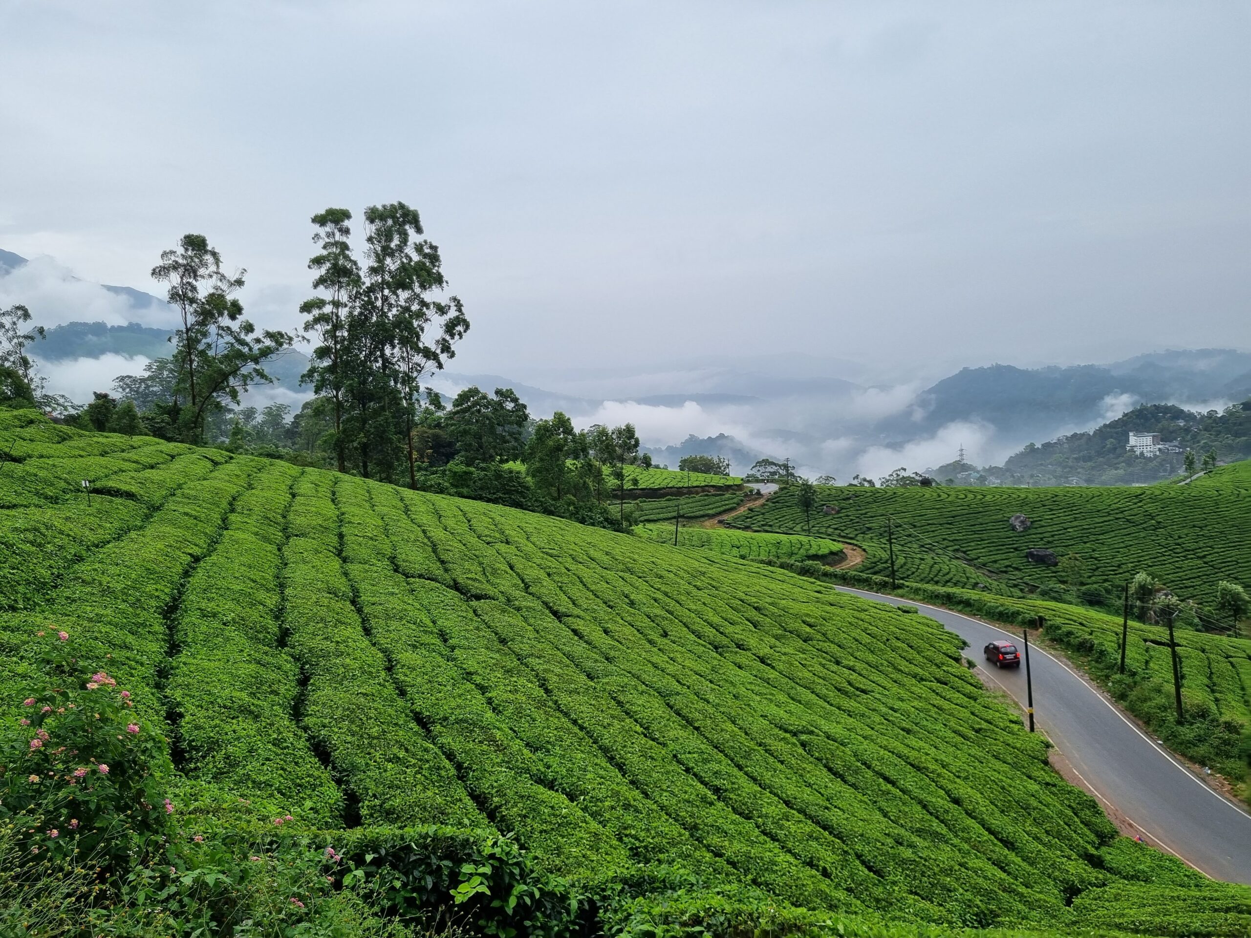 Munnar Sightseeing: Indulge Your Senses in Scenic Splendor